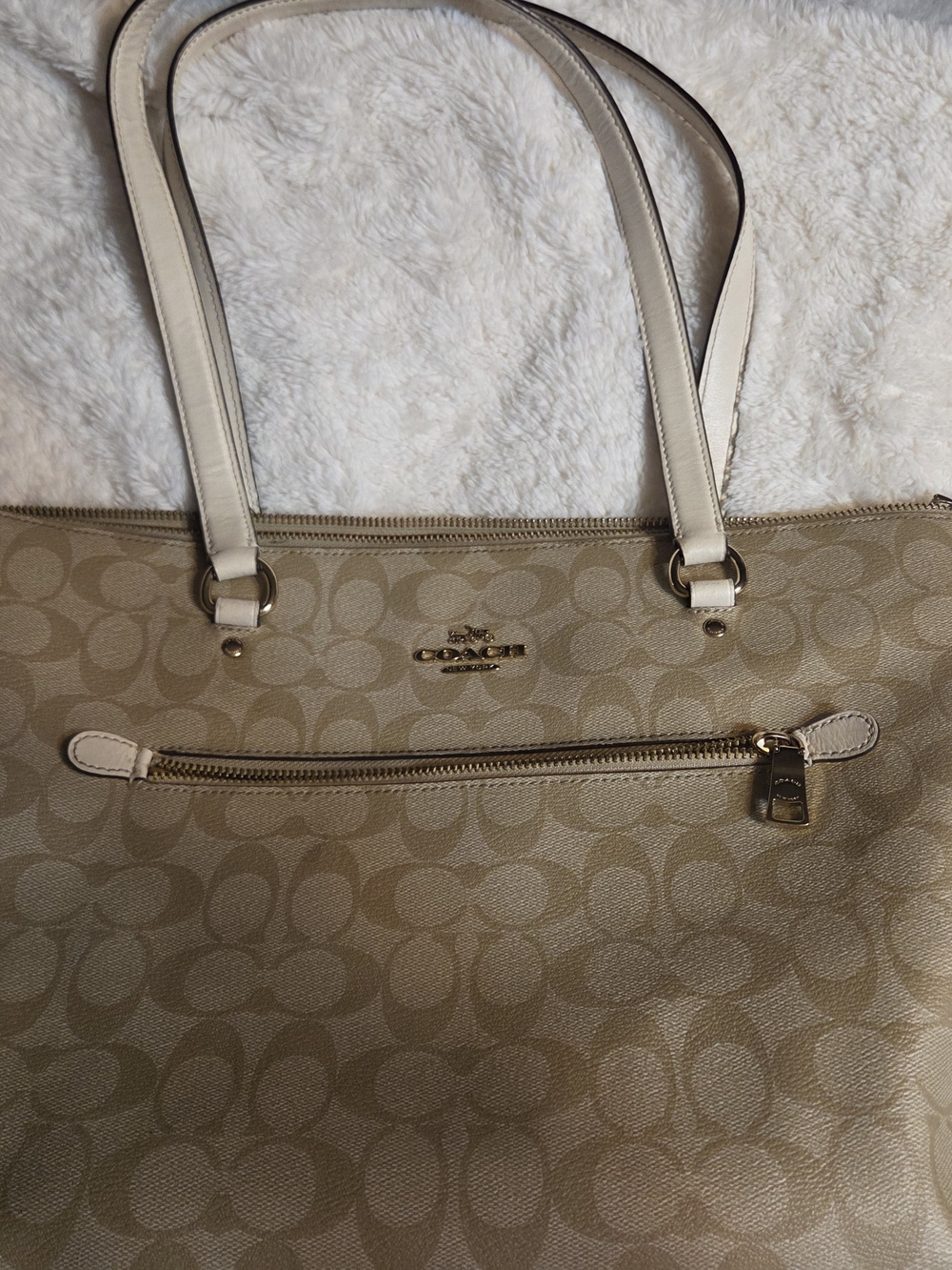 Coach Signature Tote Bag in Khaki/Chalk